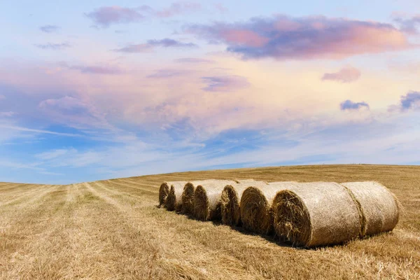 Campos agrícolas paisaje —  Fotos de Stock