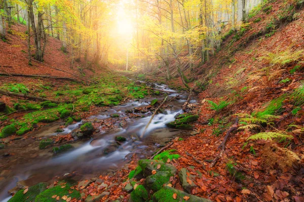 Φθινοπωρινά χρώματα του δάσους και μικρό ορεινό ποτάμι — Φωτογραφία Αρχείου