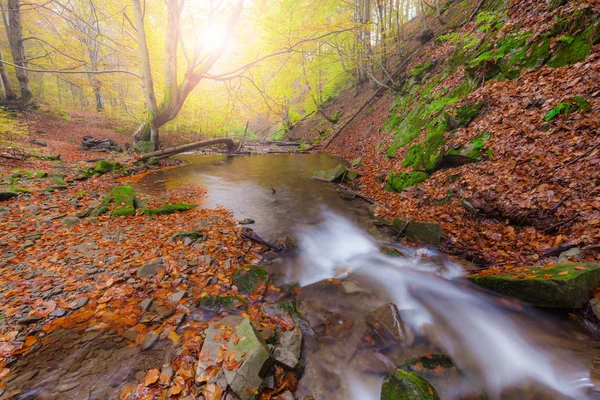 Herbstfarben Wald und kleiner Gebirgsfluss — Stockfoto