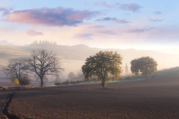 Valle dell'alba nebbiosa — Foto Stock