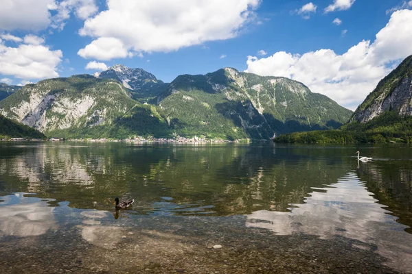 Alpine lake zomer panoramisch bergzicht — Stockfoto