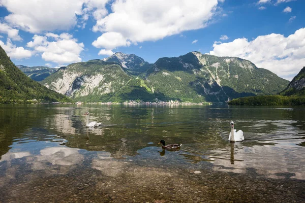 Alp dağ gölü yaz panoramik görünüm — Stok fotoğraf