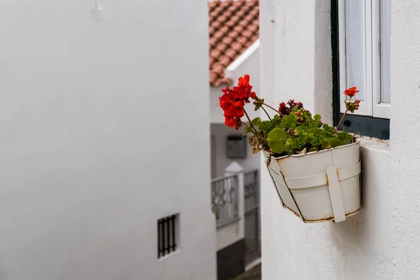 Blomkruka på huset fasaden — Stockfoto