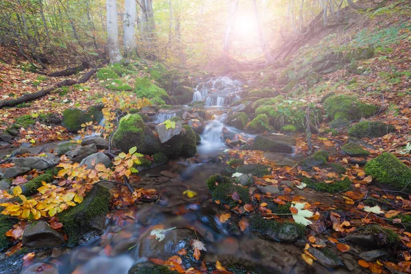 Autumn forest small waterfall — Stock Photo, Image