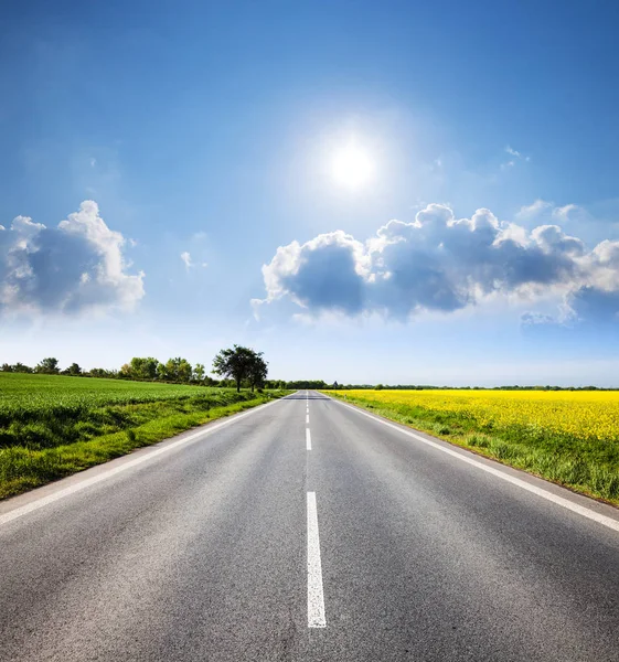 Route à travers une belle campagne verdoyante et jaune ensoleillée — Photo