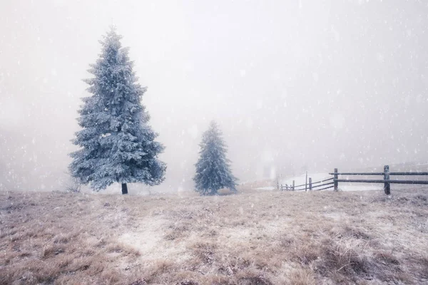 Inverno montanhas alpinas colinas nevadas — Fotografia de Stock