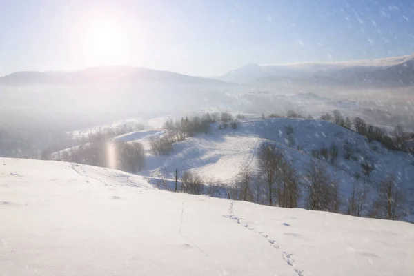 冬の雪に覆われた山の丘 — ストック写真