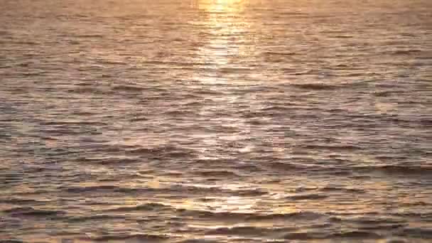 Surface calme de l'eau de mer — Video