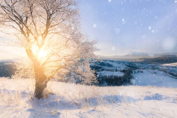 Alpina berg snöiga vinterlandskap — Stockfoto