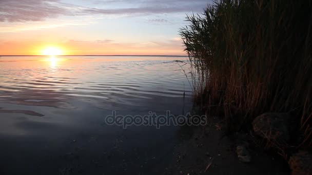 Tramonto colorato sulla calma superficie dell'acqua dell'oceano — Video Stock