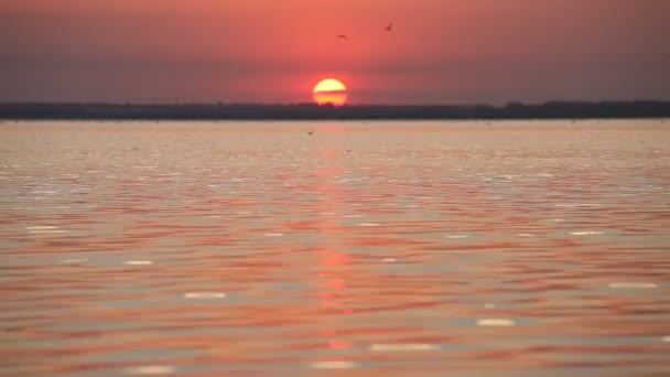 Pôr do sol colorido sobre a superfície calma da água do oceano — Vídeo de Stock