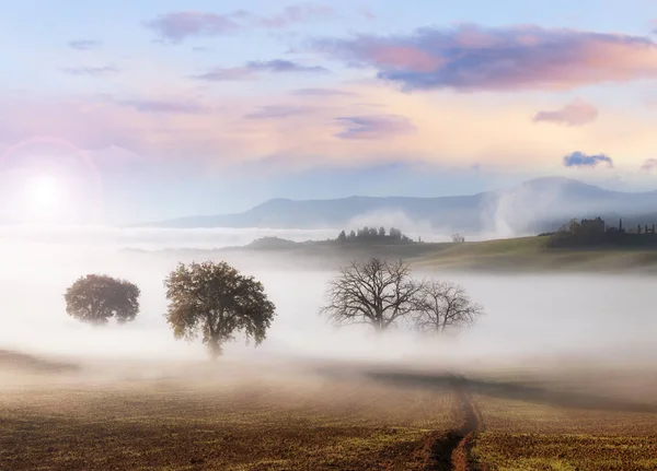Güneşli kırsal manzara Panoraması — Stok fotoğraf