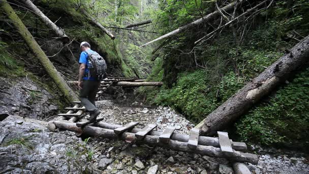 Randonneur pédestre traversant un canyon rocheux — Video