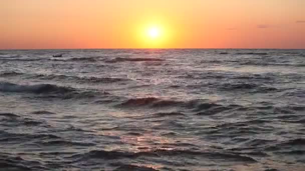 Océano superficie de agua de olas con reflejo del sol naciente — Vídeo de stock