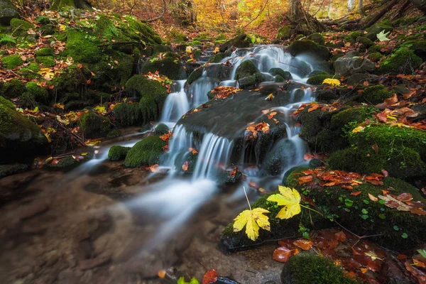 Cascada en colorido bosque otoñal — Foto de Stock