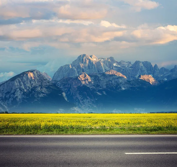 Asfaltweg onder de zomer veld en berg — Stockfoto