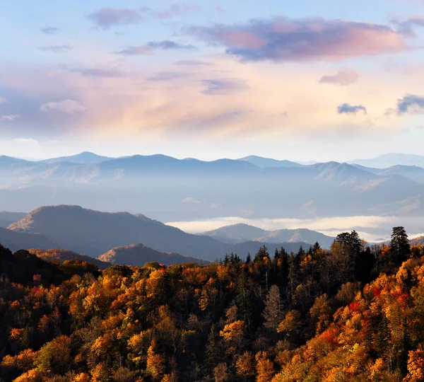 Podzimní barvy v regionu Smoky Mountains — Stock fotografie