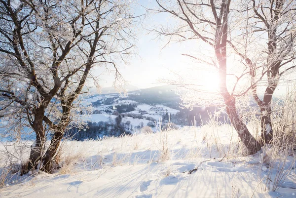 Invierno montaña nevada rural amanecer paisaje —  Fotos de Stock