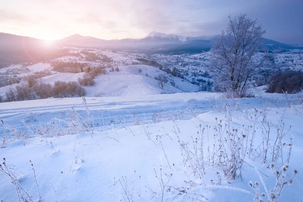 Inverno montagna innevata paesaggio rurale alba — Foto Stock