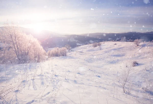Winter mountain snowy rural sunrise landscape — Stock Photo, Image
