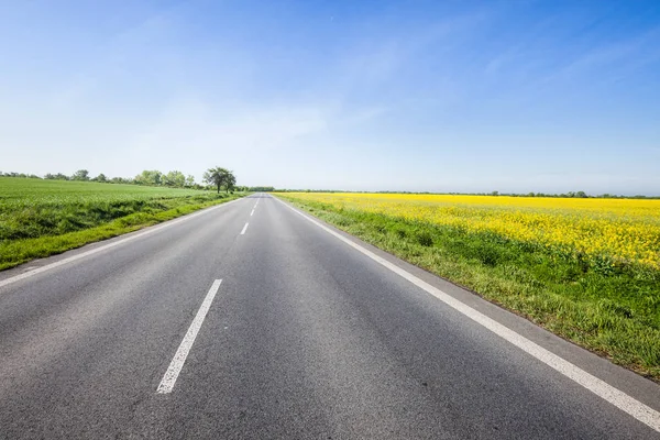 Estrada de asfalto entre o campo de verão — Fotografia de Stock