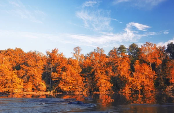 Bellissimi colori autunnali foresta riflessa nel fiume — Foto Stock