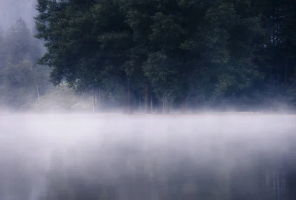湖の霧の朝の霧の天気 — ストック写真