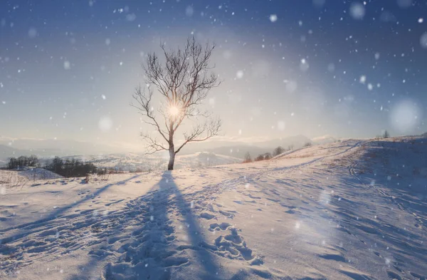 겨울 산 눈 덮인 시골 일출 풍경 — 스톡 사진