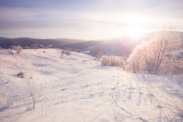 Invierno montaña nevada rural amanecer paisaje —  Fotos de Stock