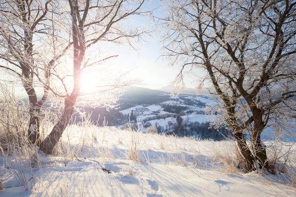 Winter mountain snowy rural sunrise landscape — Stock Photo, Image