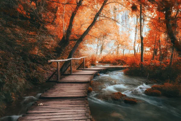 Wooden path across small creek in red autumn forest — Stock Photo, Image