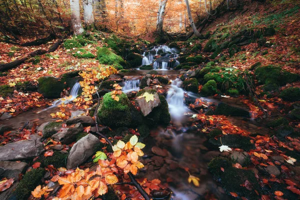 Herfst bos kleine kreek — Stockfoto