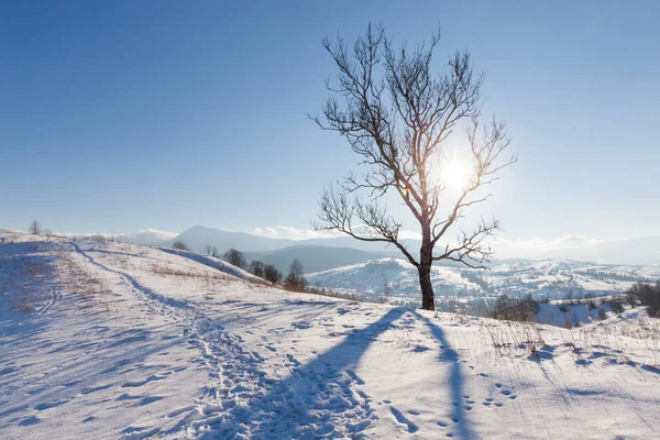 冬山雪农村日出风景 — 图库照片