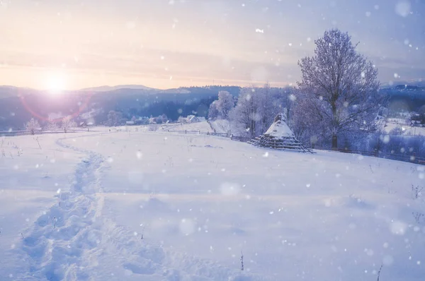 Inverno montagna innevata paesaggio rurale alba — Foto Stock