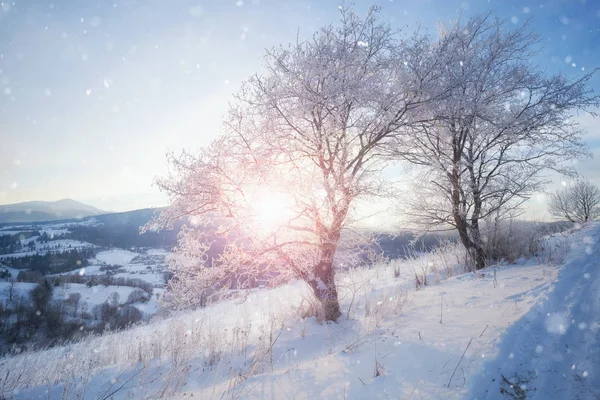 Inverno montagna innevata paesaggio rurale alba — Foto Stock