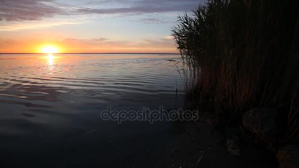 Superficie dell'acqua dell'onda oceanica con riflesso del sole nascente — Video Stock