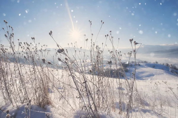 Bonito inverno montanha nevado paisagem alpina — Fotografia de Stock