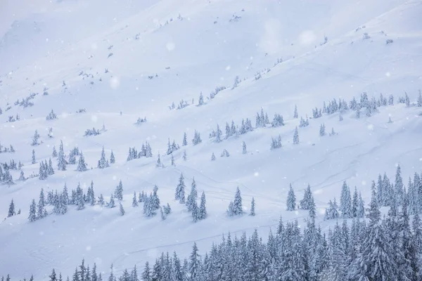 Bellissime colline alpine innevate invernali — Foto Stock