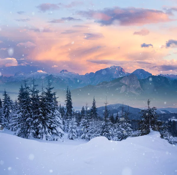 美しい冬の雪に覆われたアルプスの山丘 — ストック写真