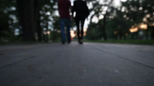 Пара влюбленных гуляющих по парковой аллее — стоковое видео
