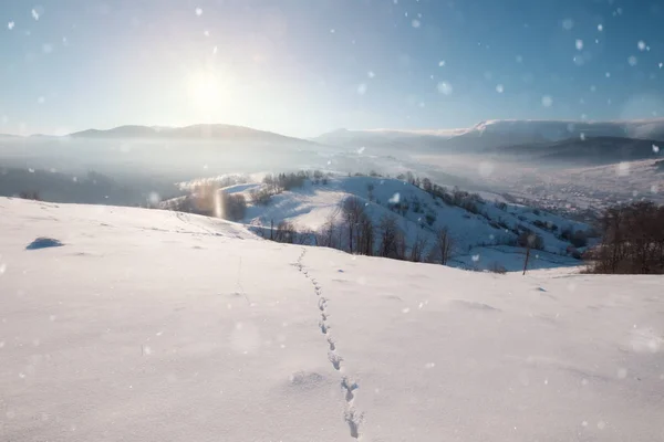 Güzel kış dağ karlı dağ manzarası — Stok fotoğraf
