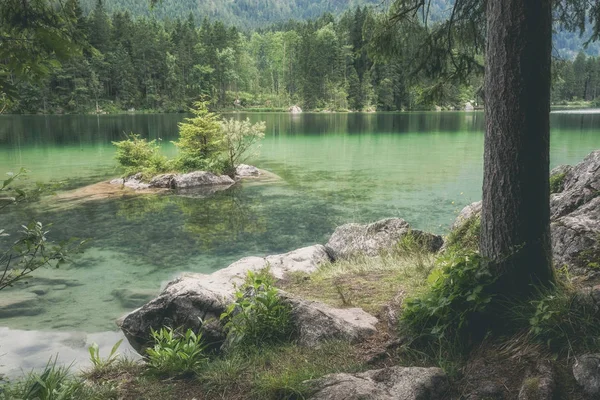 アルパイン mountaine 夏の湖 — ストック写真