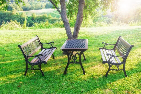 Asztal és székek a nyári zöld kert — Stock Fotó