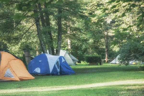 Namioty na zielony trawa trawnik w obszarze camping — Zdjęcie stockowe