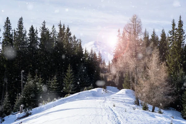 Bellissime colline alpine innevate invernali — Foto Stock