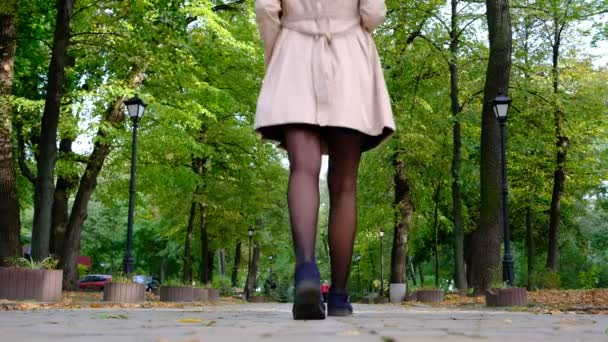 Jovem mulher elegante andando no beco do parque de outono — Vídeo de Stock