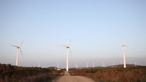 Énergie éolienne — Video