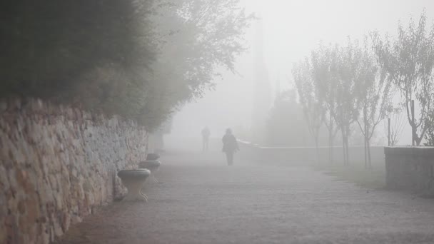 Foggy mattina parco vicolo con le persone a piedi — Video Stock