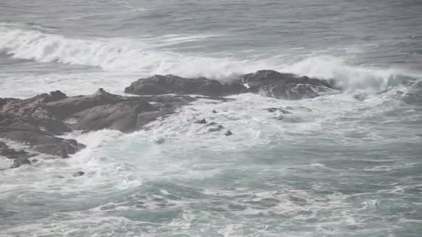 Atlantský Oceán Letní Malebný Pohled Uzavření Zařízení Ocean Wave Video — Stock video