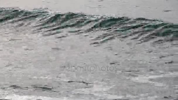 Océan Atlantique Vue Panoramique Été Ocean Wave Close Vidéo — Video